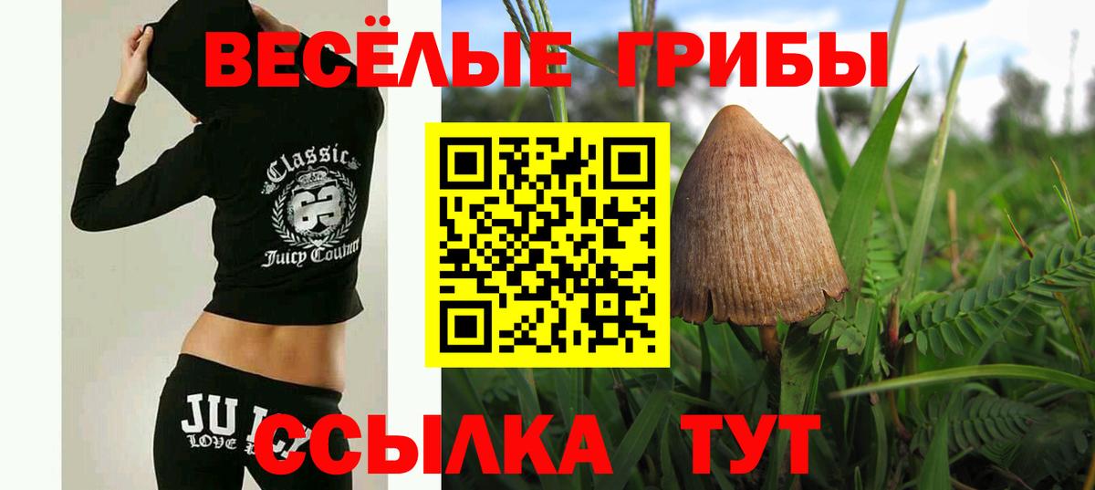 Псилоцибиновые грибы мухоморы  Вход с VPN  Тайшет 