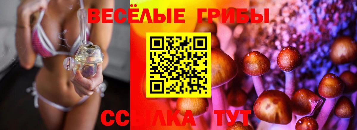 Псилоцибиновые грибы Cubensis Тайшет